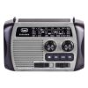 Trevi 7F30 BT Solar Explorer Radio