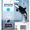 Epson T7602 cyan