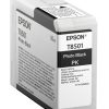 Epson Singlepack Photo Black T850100