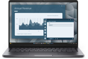 DELL Pro 14 PC14255 R5 220 16GB/512GB