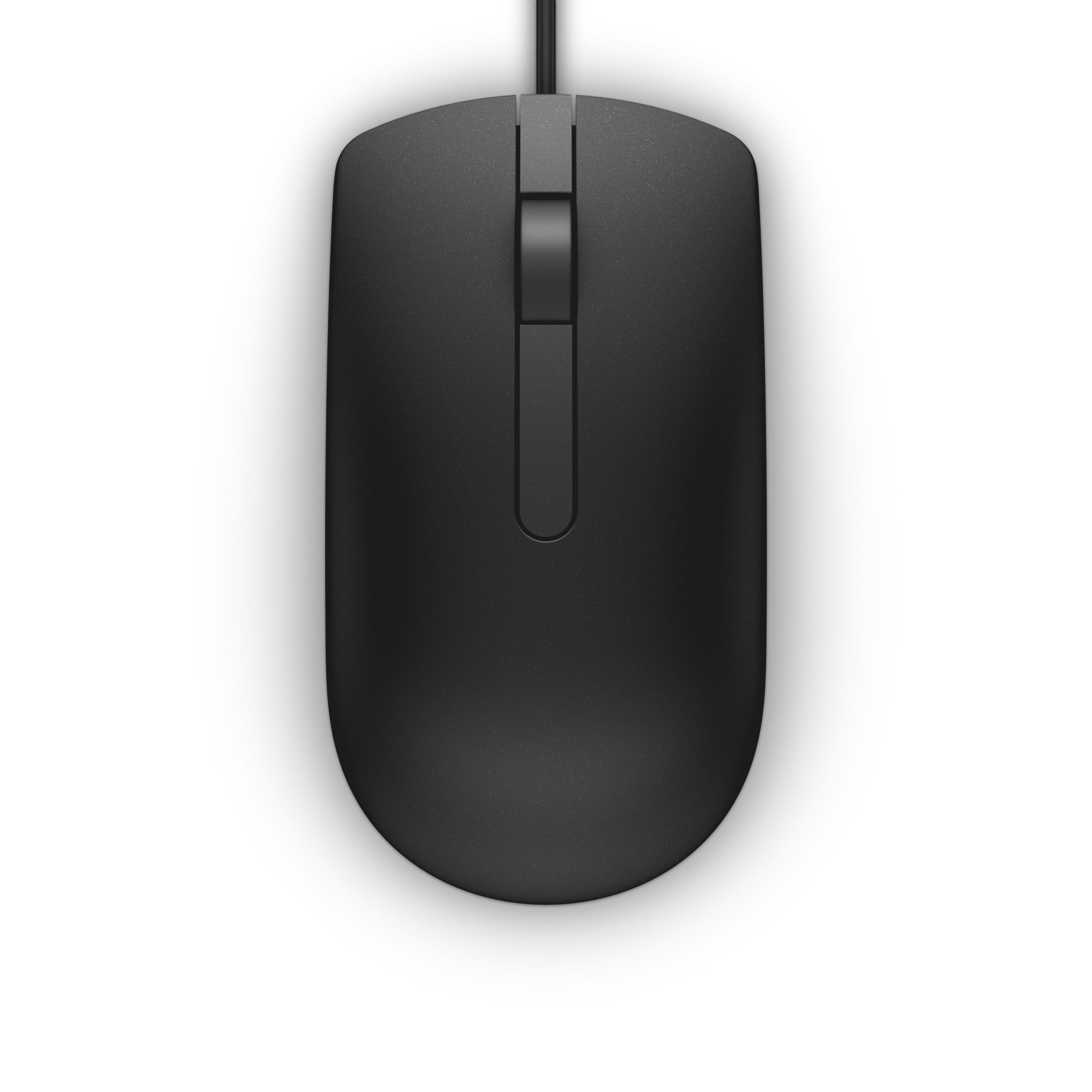 Dell MS116 - Mus - optisk - 2 knapper - kablet - USB - sort - detailsalg